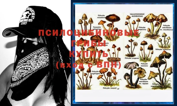 молекула духа Новодвинск