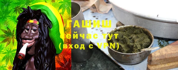 дмт Новозыбков