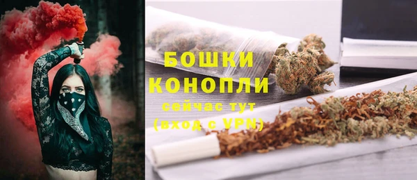 дмт Новозыбков