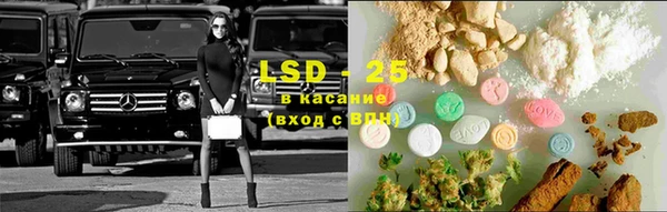 дмт Новозыбков