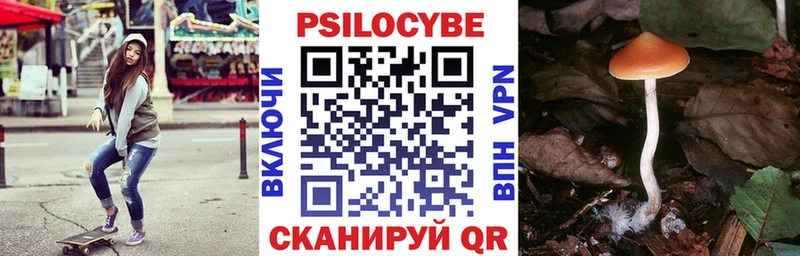 сайты даркнета телеграм  наркошоп  Абдулино  Галлюциногенные грибы Cubensis 